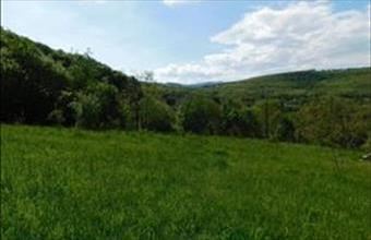 Eladó Parádi egyéb telek hirdetés (24587843)