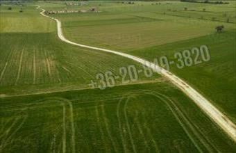 Eladó Dabasi egyéb telek hirdetés (33234776)