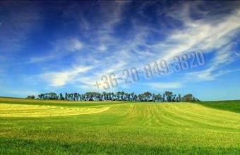 Eladó Váci egyéb telek hirdetés (47147418)