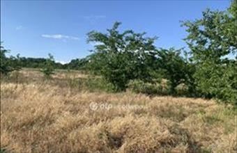 Eladó Hévízi külterületi telek hirdetés (87916862)