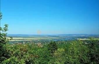 Eladó Biatorbágyi családi ház hirdetés (93278387)