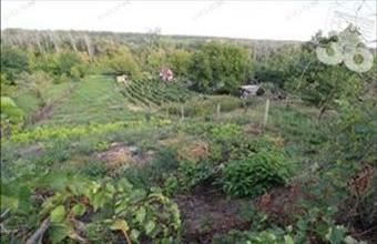 Eladó Bölcskei hétvégi ház hirdetés (24389875)