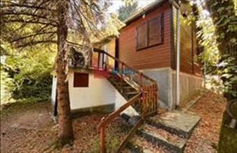 Eladó Tahitótfalui családi ház hirdetés (74294534)