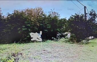 Eladó Táskai lakóövezeti telek hirdetés (96934393)