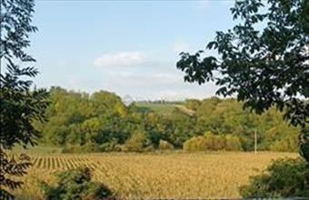 Eladó Epöli családi ház hirdetés (45144517)