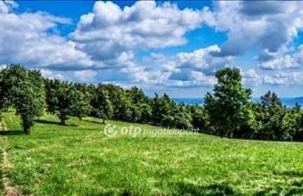 Eladó Ajaki egyéb telek hirdetés (31389952)