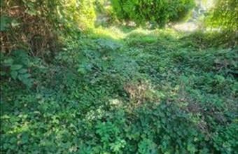 Eladó Budapest III. kerületi lakóövezeti telek hirdetés (99169427)