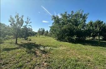 Eladó Szentesi hétvégi ház hirdetés (85183313)