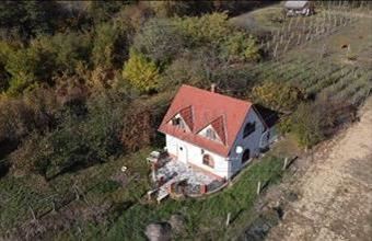 Eladó Felsőegerszegi családi ház hirdetés (41462573)