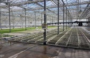 Eladó Kecskeméti egyéb mezőgazdasági ingatlan hirdetés (37933334)