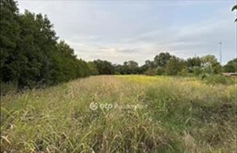 Eladó Albertirsai egyéb telek hirdetés (75668835)