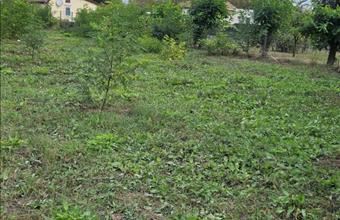 Eladó Debreceni egyéb telek hirdetés (39773753)