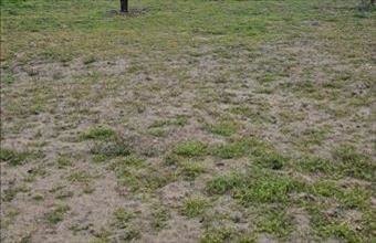 Eladó Debreceni egyéb telek hirdetés (91954299)