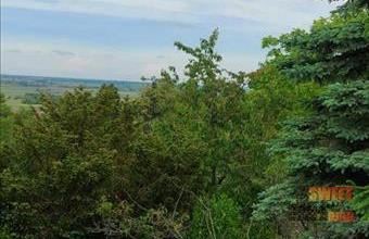 Eladó Győrújbaráti egyéb telek hirdetés (14239477)