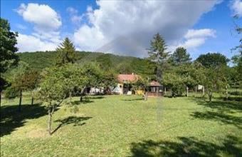 Eladó Esztergomi hétvégi ház hirdetés (49617278)