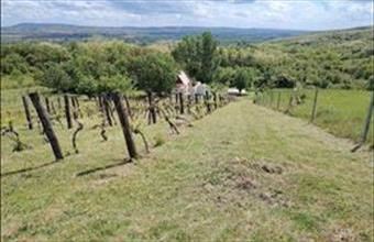 Eladó Zalaszentgróti zártkert hirdetés (73427843)