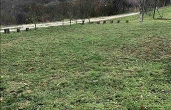 Eladó Zalaszentgróti zártkert hirdetés (73427843)