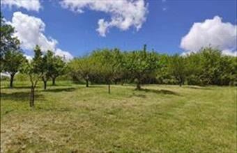 Eladó Zalaszentgróti zártkert hirdetés (73427843)