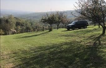 Eladó Zalaszentgróti zártkert hirdetés (73427843)