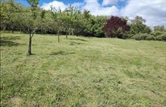 Eladó Zalaszentgróti zártkert hirdetés (73427843)