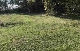 Eladó Zalaszentgróti zártkert hirdetés (73427843)