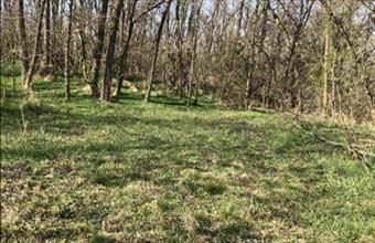 Eladó Zalaszentgróti zártkert hirdetés (73427843)