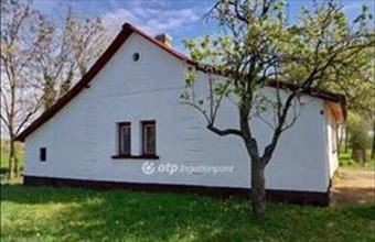 Eladó Csongrádi tanya hirdetés (17879434)