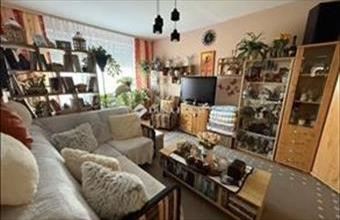 Eladó Nyergesújfalui panel lakás hirdetés (48685833)