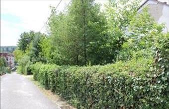 Eladó Miskolci lakóövezeti telek hirdetés (77446364)