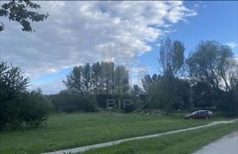 Eladó Tényői lakóövezeti telek hirdetés (96336314)