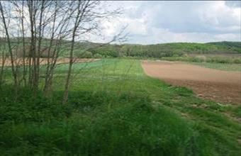 Eladó Nógrádsápi külterületi telek hirdetés (34139274)