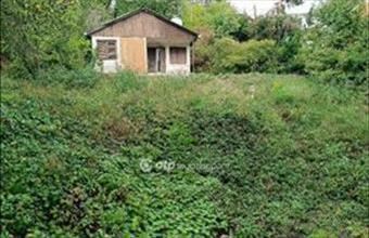 Eladó Solymári családi ház hirdetés (24355356)