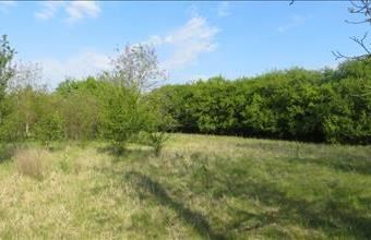 Eladó Békéscsabai egyéb telek hirdetés (78522282)