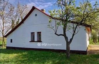 Eladó Csongrádi tanya hirdetés (36243661)