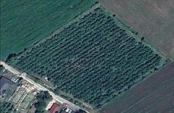 Kiadó Váci egyéb ipari ingatlan hirdetés (63623477)