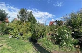 Eladó Dunakeszi egyéb telek hirdetés (95724323)