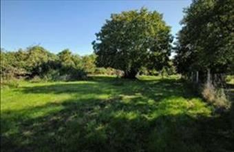 Eladó Alsópáhoki külterületi telek hirdetés (35332745)