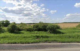 Eladó Martonvásári egyéb telek hirdetés (52968739)