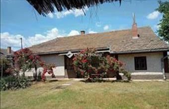 Eladó Tiszakürti tanya hirdetés (67614768)