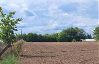 Eladó Kecskeméti egyéb telek hirdetés (86583597)