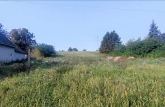 Eladó Óbaroki egyéb telek hirdetés (63864424)