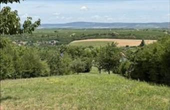 Eladó Etyeki egyéb telek hirdetés (88735874)