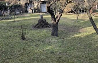 Eladó Budapest III. kerületi egyéb telek hirdetés (68347328)