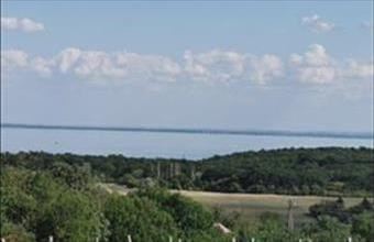 Eladó Felsőörsi egyéb üzlethelyiség hirdetés (63242949)