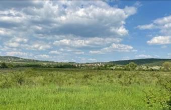 Eladó Dörgicsei külterületi telek hirdetés (47211722)