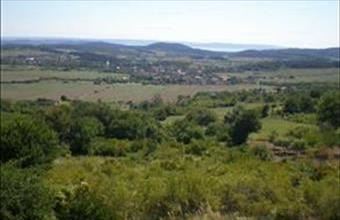 Eladó Pécselyi külterületi telek hirdetés (54637855)