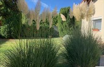 Eladó Tinnyei családi ház hirdetés (79525343)