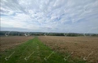 Eladó Mernyei családi ház hirdetés (77144452)