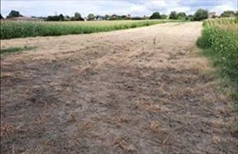 Eladó Péteri lakóövezeti telek hirdetés (34531729)