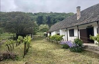 Eladó Bátai családi ház hirdetés (87873659)